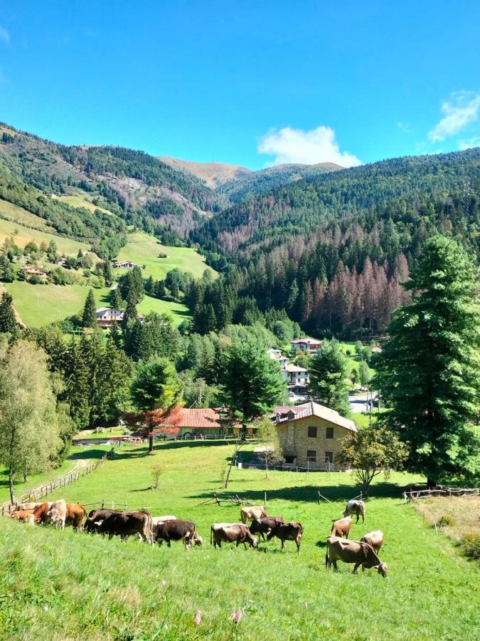 Casa Vacanza Pieve ピゾーニェ エクステリア 写真